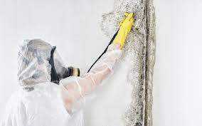 Best Mold Remediation for Healthcare Facilities  in Mcgehee, AR